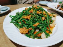 -清雅臻品·竹林院落·新派青岛菜(崂山店)
