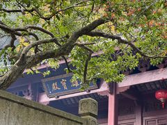 -韬光茶庵