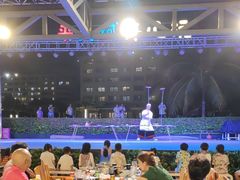 -渔家火锅·海鲜自助餐·演艺(亚龙湾天域酒店)