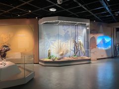 -陕西自然博物馆