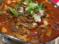 锅仔羊杂-凯鸽酒楼(大同振兴街店)