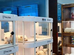 -翊宠yipet猫狗购宠庄园犬舍•猫舍