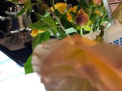 -也枫·小黄楼(南山路旗舰店)