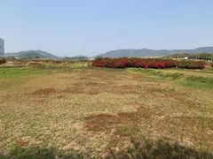 -光明小镇欢乐田园