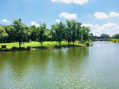 -同济大学(嘉定校区)