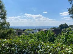 -铁山坪森林公园