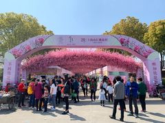 -南汇桃花村