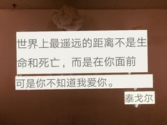 -成都失恋馆