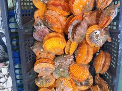 -东莞楼农家菜(金海湾大道分店)