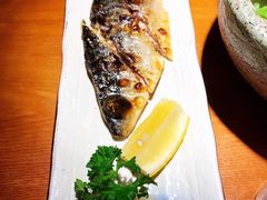 盐烤青花鱼-鳗鱼家·深夜食堂(军博店)
