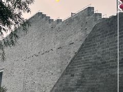 -洛阳市隋唐城遗址植物园