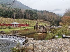 -广州市石门国家森林公园