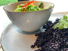 -Wagas沃歌斯(大学路店)