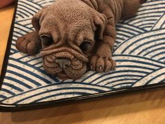 -红小满休闲餐厅(十全街店)