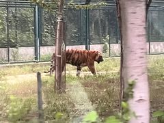 -秦皇岛野生动物园