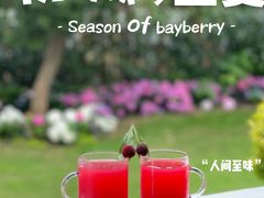 -上海滨江森林公园