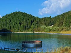 -武陵山森林公园