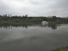 -白鹭湾湿地公园