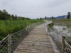 -漩门湾国家湿地公园