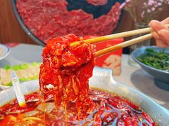 -渝大龙重庆火锅(温泉月亮湾店)
