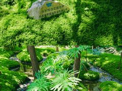 -成都市活水公园