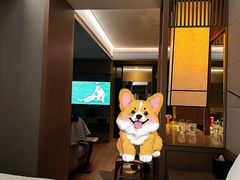-北京三里屯CHAO酒店