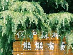 -芜湖方特旅游度假区