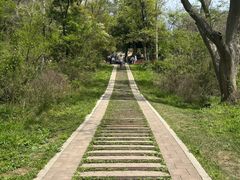 -青龙山国家森林公园