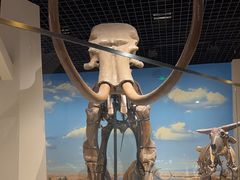 -国家自然博物馆