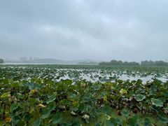 -云龙湖旅游景区