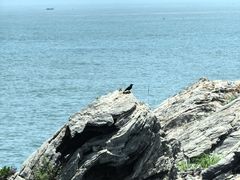 -大连金石滩国家旅游度假区