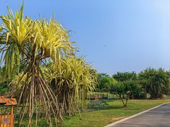 -中国科学院西双版纳热带植物园