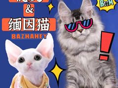 -十年猫舍·猫咪专门店(普陀店)
