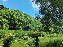 -深圳仙湖植物园