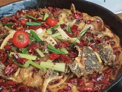 -老板恋上鱼(恒隆广场店)