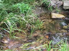 -木兰云雾山
