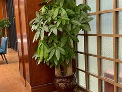 -梦都海鲜酒家(万达广场江桥店)