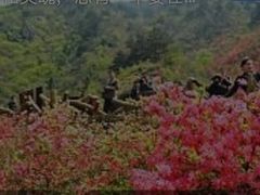 -木兰云雾山