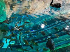 -上海海洋水族馆