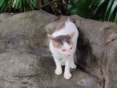 -晓港公园