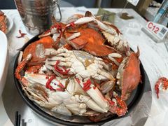 -半岛听涛蒸汽海鲜自助(K11店)