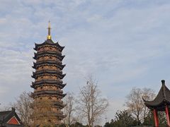 -葛仙湖公园