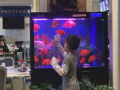 -尹兰楼西北风情餐厅(嘉定店)