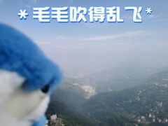 -大金鹰园