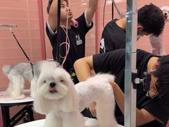 -FAELING PETS美天灵宠物(合生汇店)