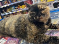 -老虎滩船说·大连海鲜(老虎滩店)