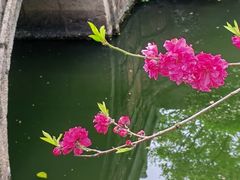 -狼山风景名胜区