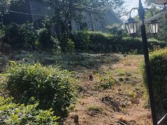 -张公山寨景区