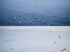 -深圳湾公园(南山区)