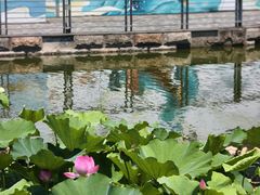 -苏州河梦清园环保主题公园